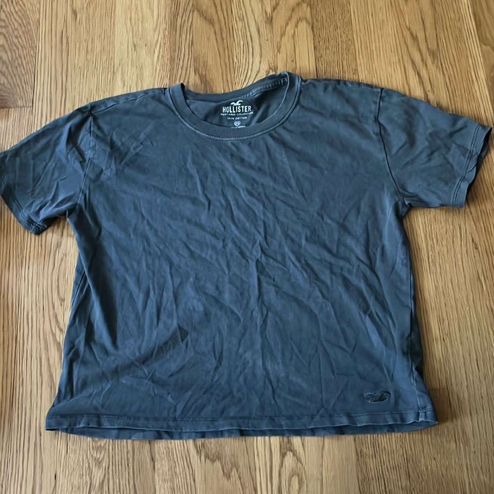 Hollister Mist Have T-Shirt